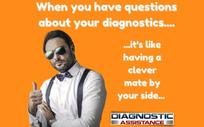Diagnostic Assistance – Ask A Clever mate